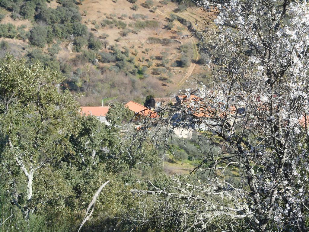 Villa Casa Do Souto Quinta do Souto Esterno foto