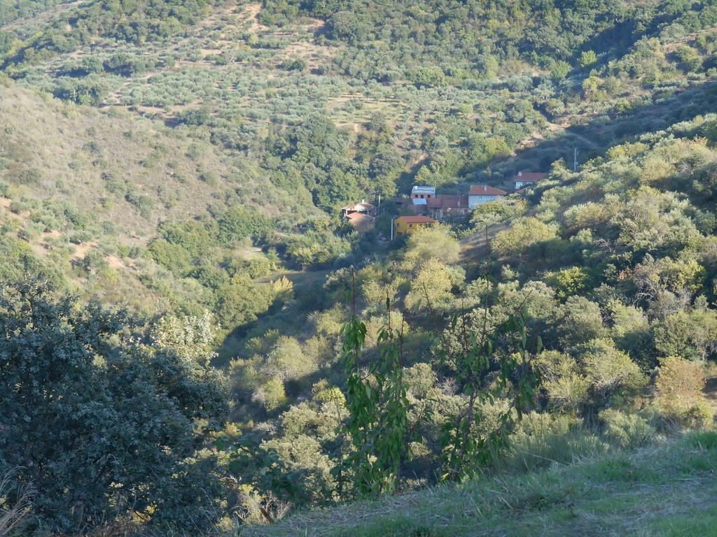 Villa Casa Do Souto Quinta do Souto Esterno foto